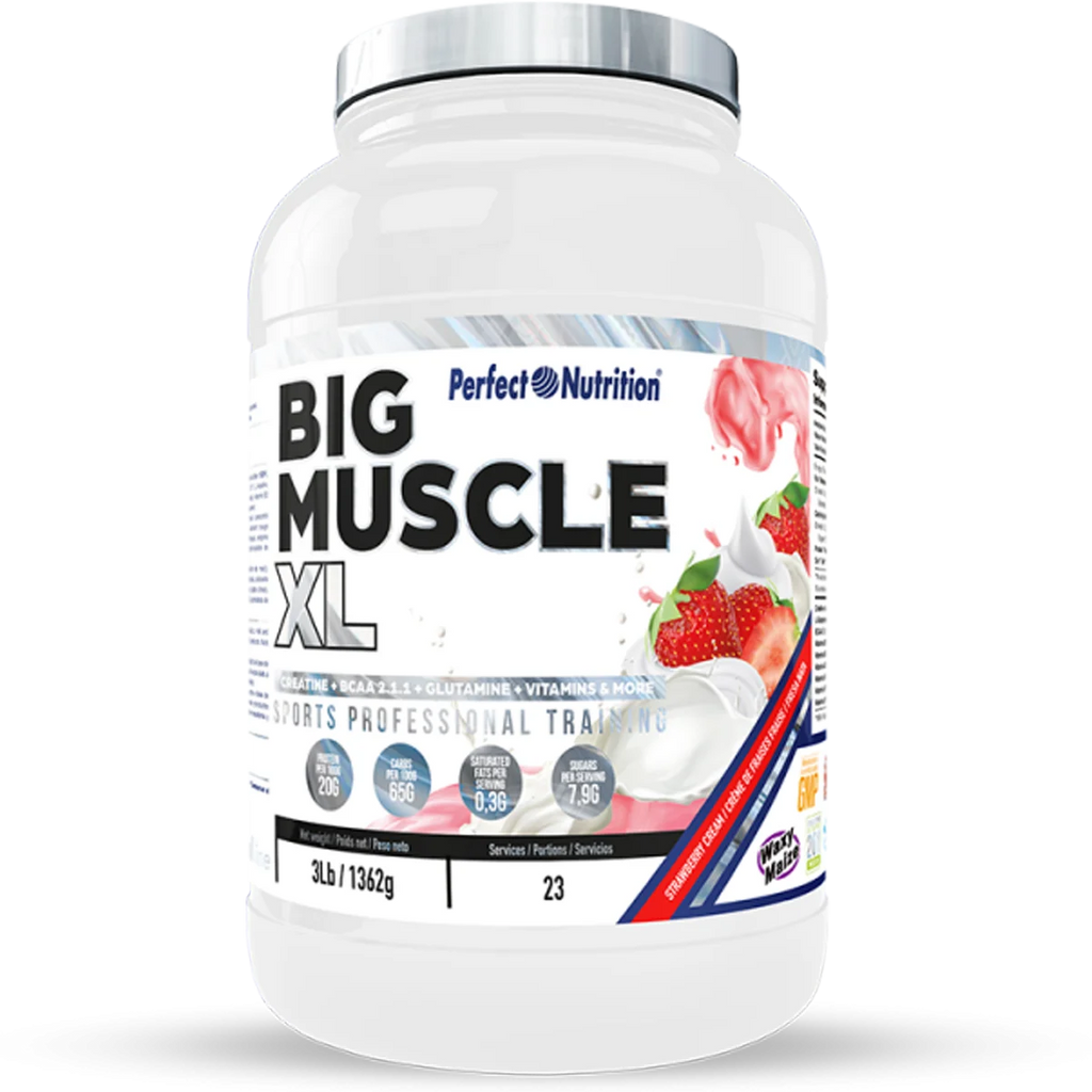 Perfect nutrition - big muscle xl - 1326 gr