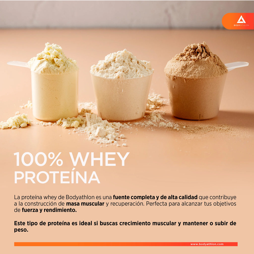 Whey protein chocolate– chocolate protein powder- protein to gain muscle mass– whey protein- protein for muscle mass- no soy lecithin- suitable for vegetarians- bodyathlon