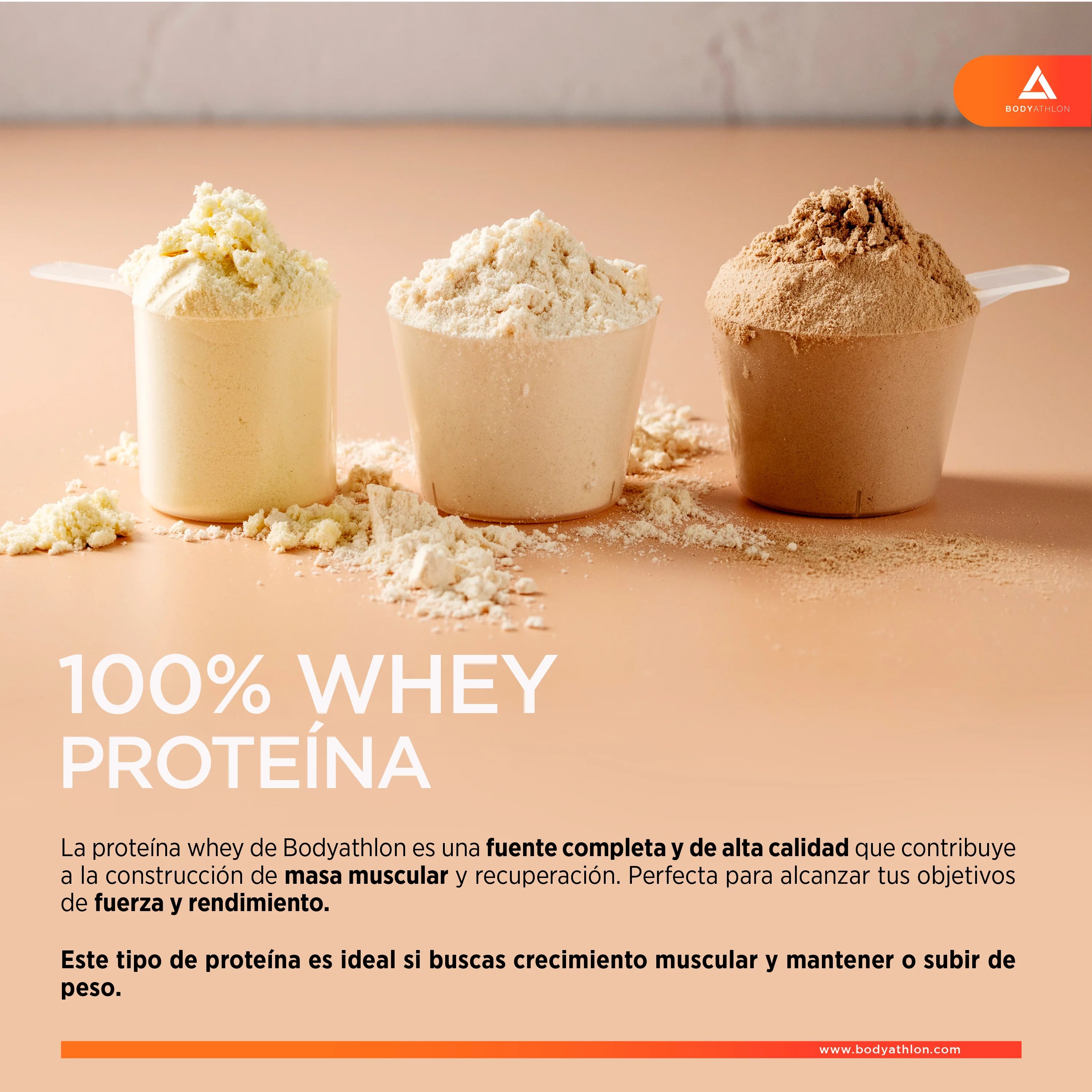 Whey protein chocolate– chocolate protein powder- protein to gain muscle mass– whey protein- protein for muscle mass- no soy lecithin- suitable for vegetarians- bodyathlon