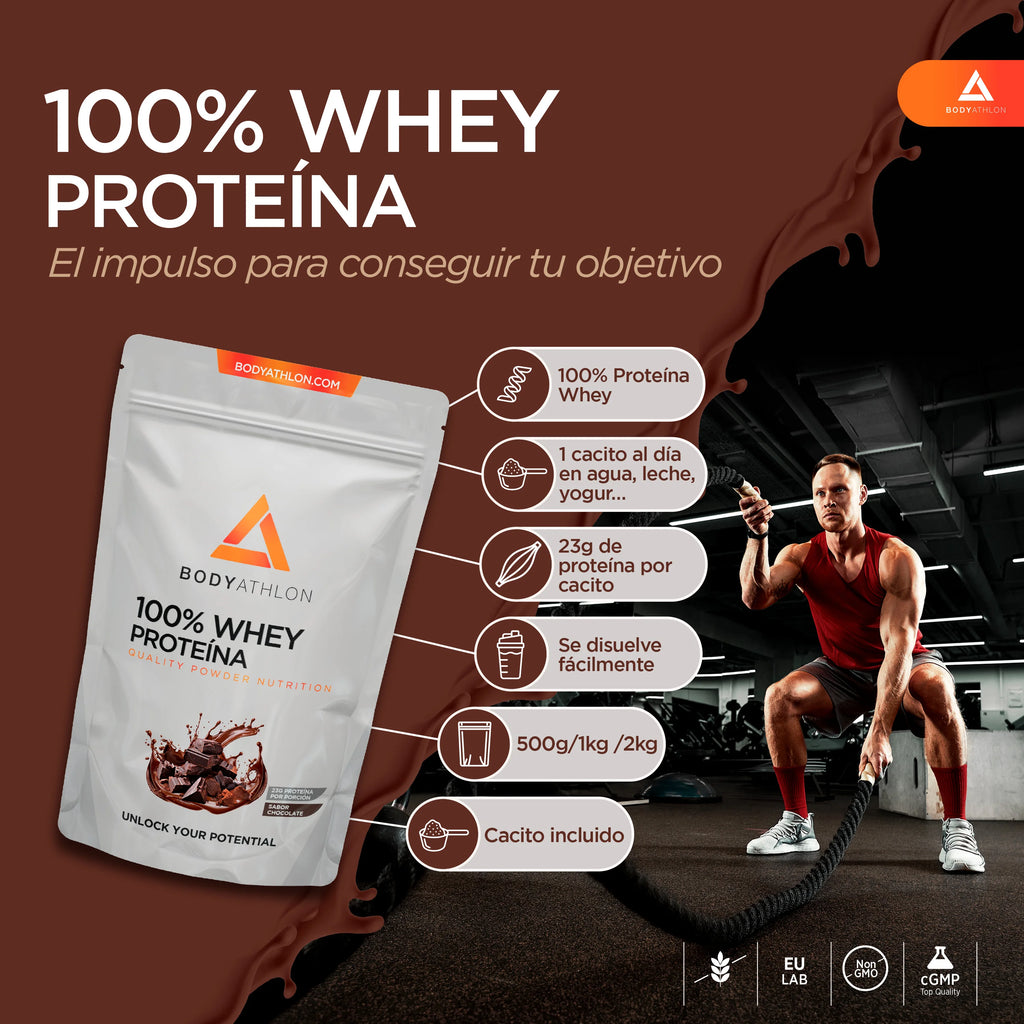 Whey protein chocolate– chocolate protein powder- protein to gain muscle mass– whey protein- protein for muscle mass- no soy lecithin- suitable for vegetarians- bodyathlon